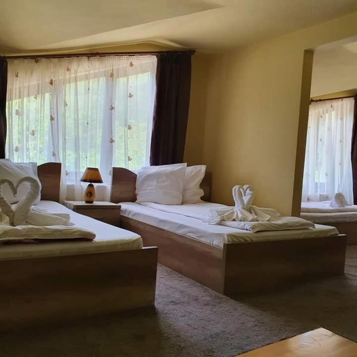 Pensiunea Mirela Pestera Ursilor Kiskoh Kültér fotó