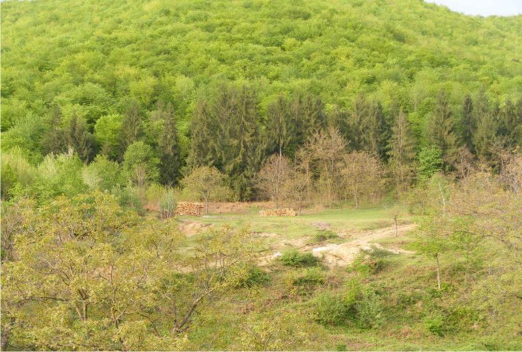 Pensiunea Mirela Pestera Ursilor Kiskoh Kültér fotó